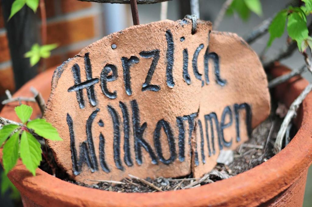 Pension / Ferienwohnungen Scheid Kestert المظهر الخارجي الصورة