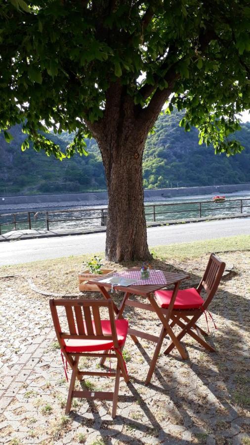 Pension / Ferienwohnungen Scheid Kestert المظهر الخارجي الصورة